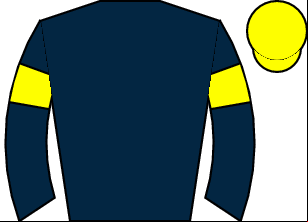 Horse silk
