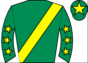 Horse silk
