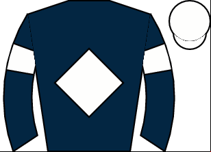 Horse silk
