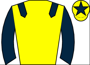 Horse silk