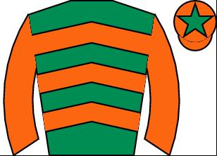 Horse silk