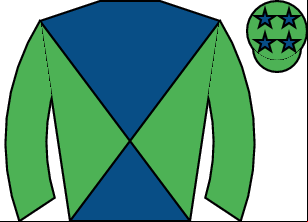 Horse silk