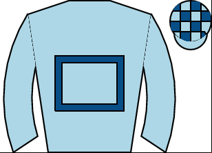 Horse silk