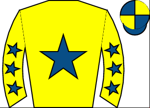 Horse silk