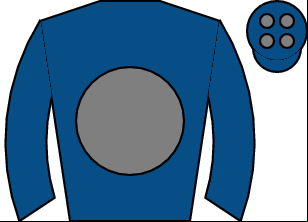 Horse silk