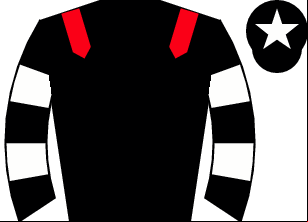 Horse silk