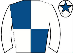 Horse silk