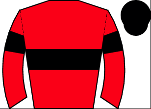 Horse silk