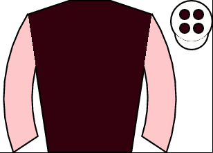 Horse silk