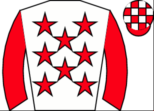 Horse silk
