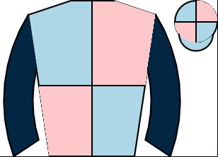 Horse silk