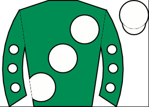 Horse silk
