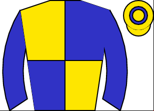 Horse silk