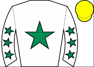 Horse silk