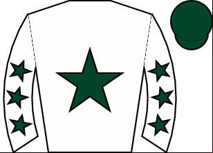 Horse silk