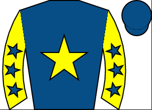 Horse silk
