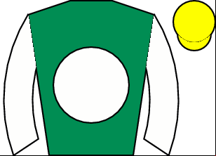 Horse silk