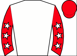 Horse silk
