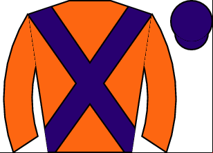 Horse silk