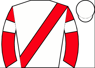 Horse silk