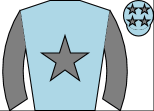 Horse silk