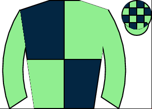 Horse silk