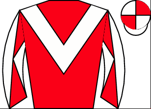 Horse silk