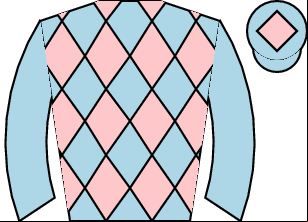 Horse silk