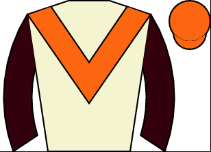 Horse silk