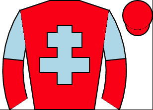 Horse silk