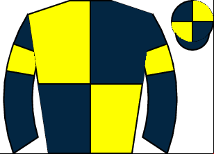 Horse silk