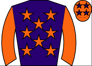 Horse silk