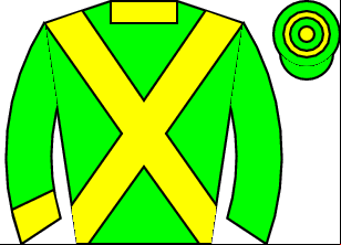 Horse silk