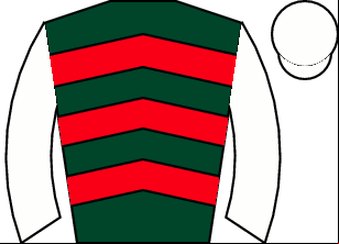 Horse silk