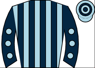 Horse silk