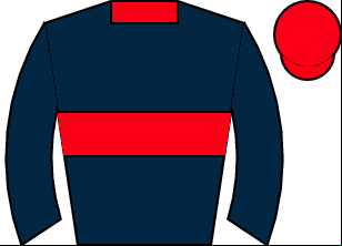 Horse silk