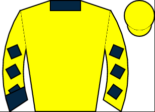 Horse silk