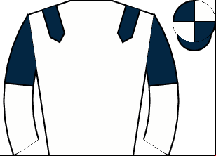Horse silk