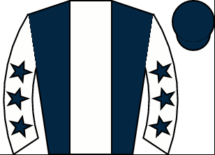 Horse silk