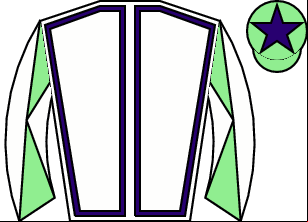 Horse silk