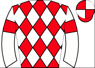 Horse silk