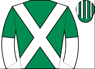 Horse silk