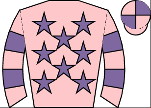 Horse silk