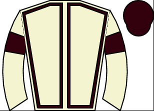 Horse silk
