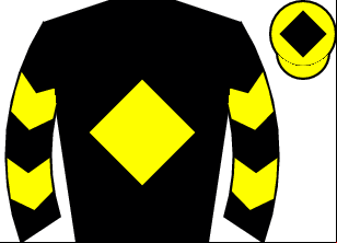 Horse silk