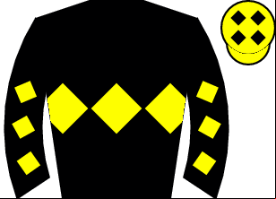 Horse silk
