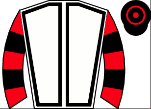 Horse silk