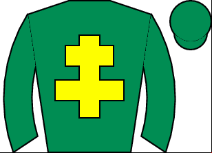 Horse silk