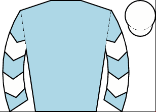 Horse silk