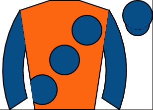 Horse silk